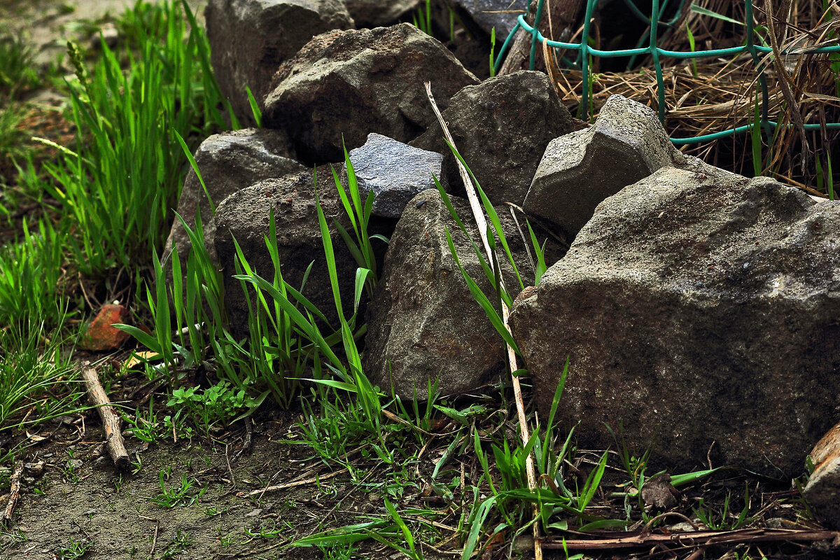 Булыжники - Юрий Гайворонскiий Булыжники - Юрий Гайворонскiий