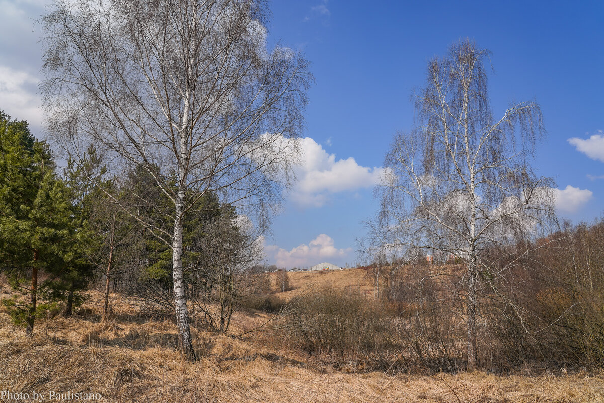 Конец марта... - Владимир Жданов Конец марта... - Владимир Жданов
