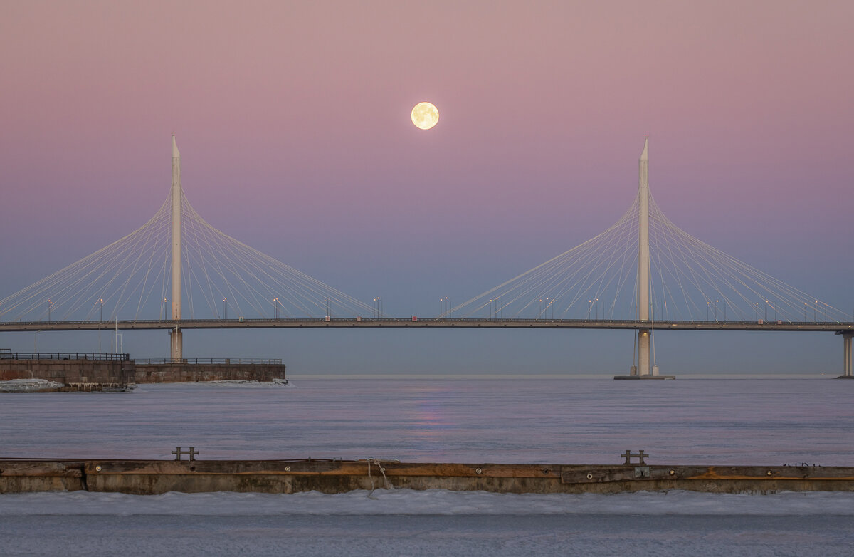 **** - Елизавета .