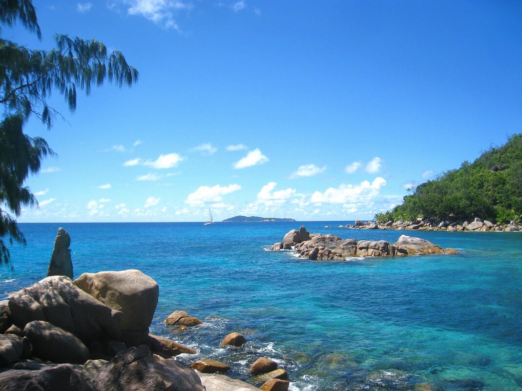 На Сейшелах. - unix (Илья Утропов)