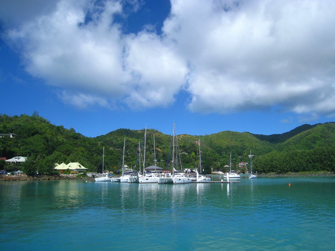 Кусочек острова Праслин. - unix (Илья Утропов) Кусочек острова Праслин. - unix (Илья Утропов)