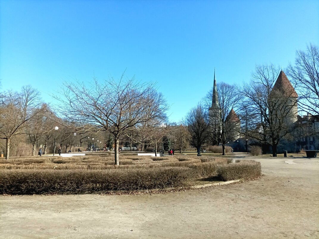 В парке - Veera V В парке - Veera V