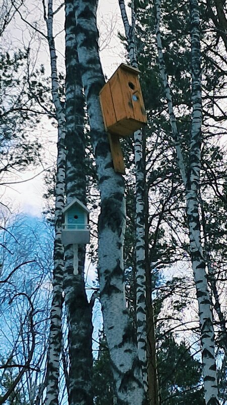Весна... - Георгиевич Весна... - Георгиевич