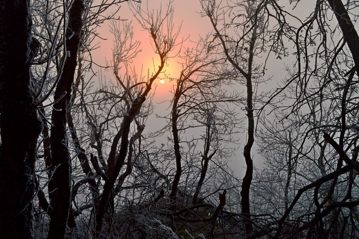 Холодное утро...... - Юрий Цыплятников Холодное утро...... - Юрий Цыплятников
