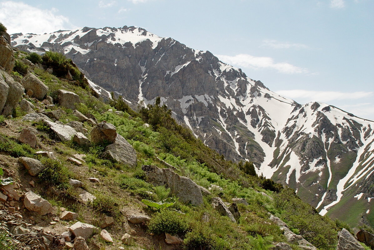 ПРОГУЛКА НА БОЛЬШОЙ ЧИМГАН 3300м. - Виктор Осипчук