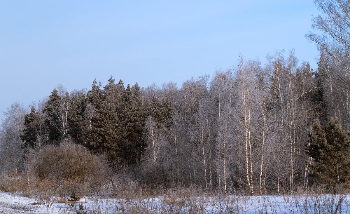 ***** - Володька Завитушкин