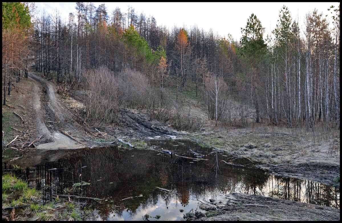 Брод - **** vedin