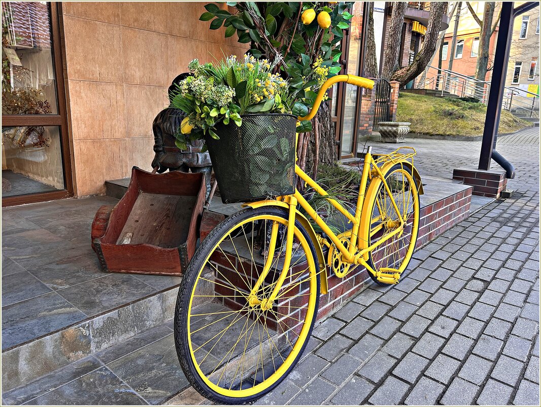 В весеннем Светлогорске. - Валерия Комова В весеннем Светлогорске. - Валерия Комова