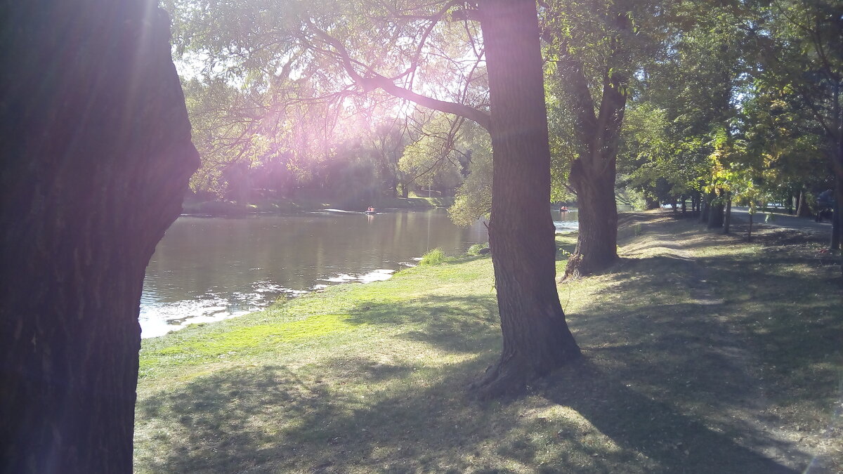 ,,, - Сергей Тимоновский