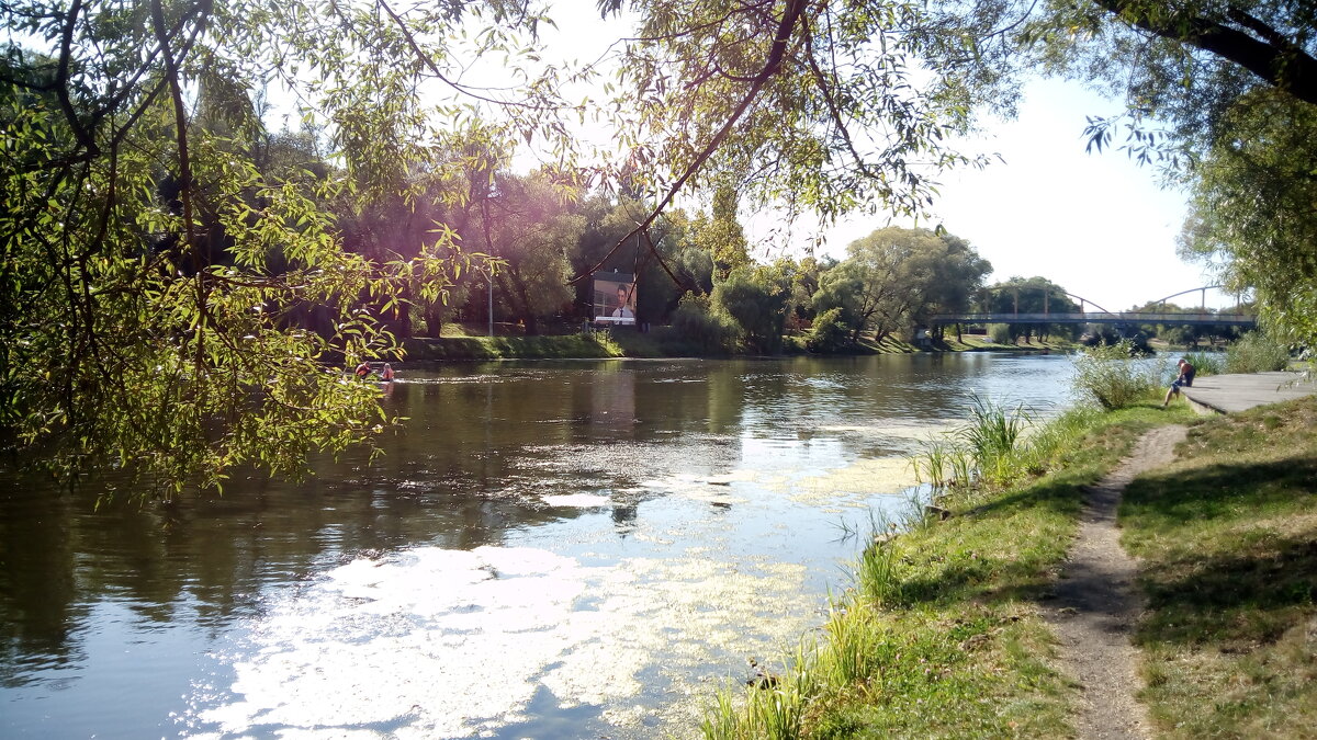 ,,, - Сергей Тимоновский