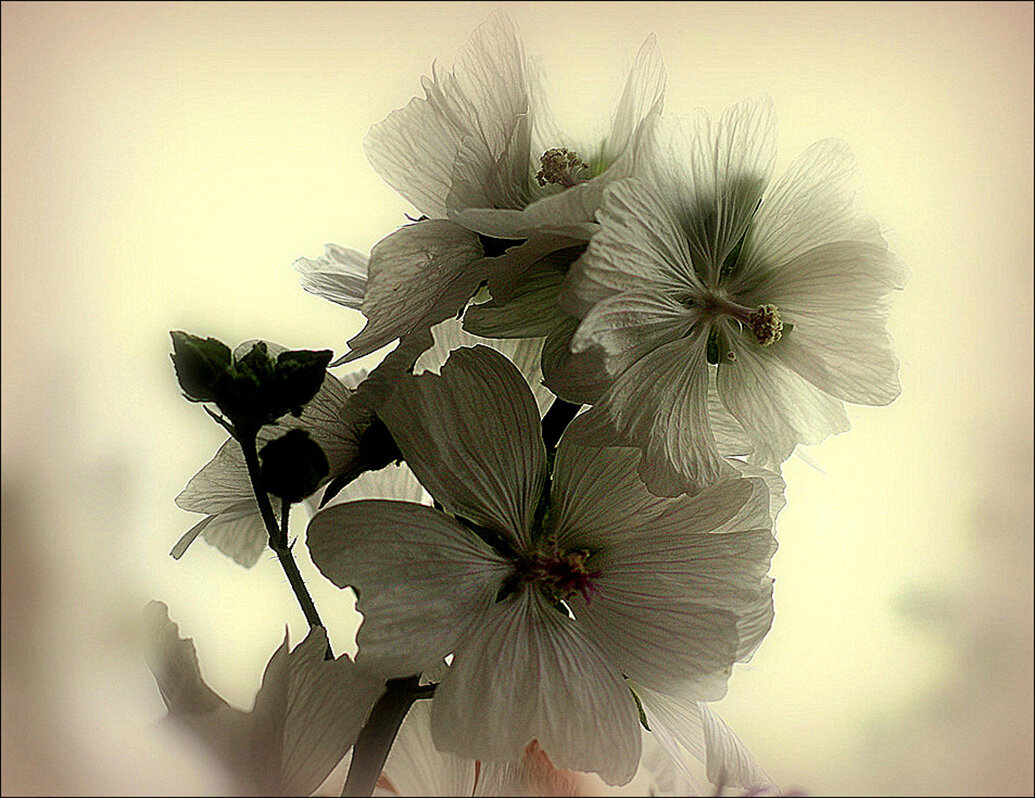 Нежность - Aleksandr Gal Нежность - Aleksandr Gal