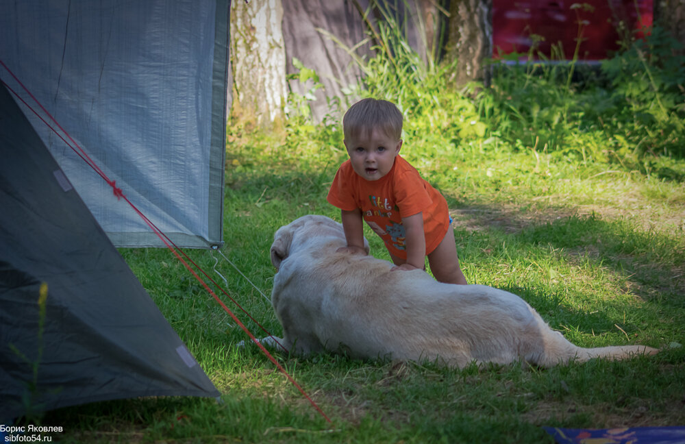 Мы теперь будем дружить! - Борис Яковлев Мы теперь будем дружить! - Борис Яковлев