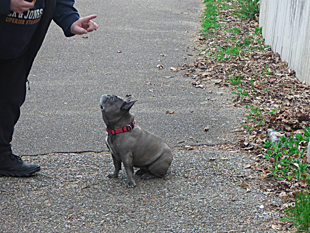 СЛУШАЙ ВНИМАТЕЛЬНО! (Из серии "На даче" - Елена Куприянова 