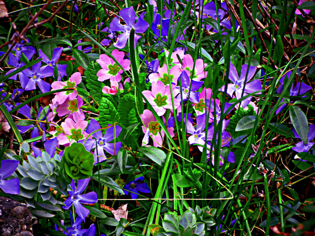 ОЧАРОВАНИЕ АПРЕЛЯ - Елена Куприянова ОЧАРОВАНИЕ АПРЕЛЯ - Елена Куприянова