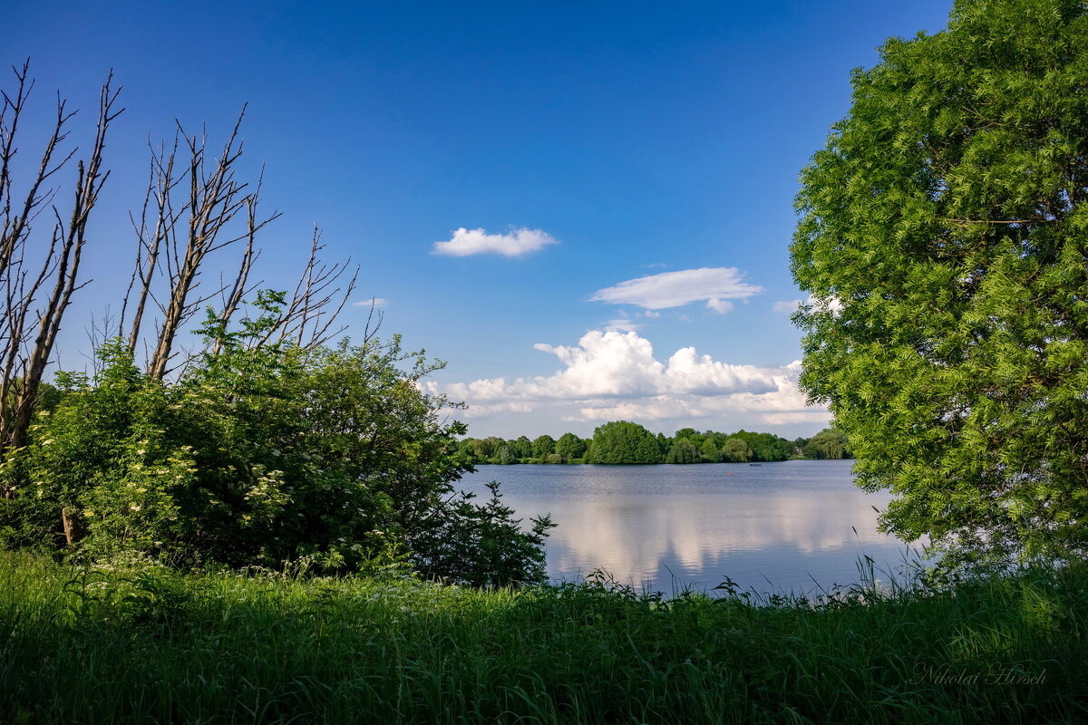 Противостояние... - Николай Гирш Противостояние... - Николай Гирш