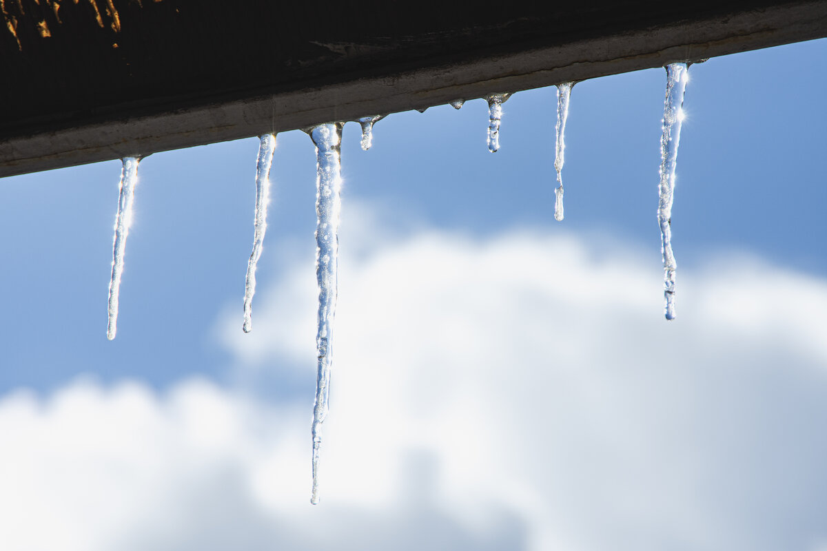 *** - Николай Чекалин