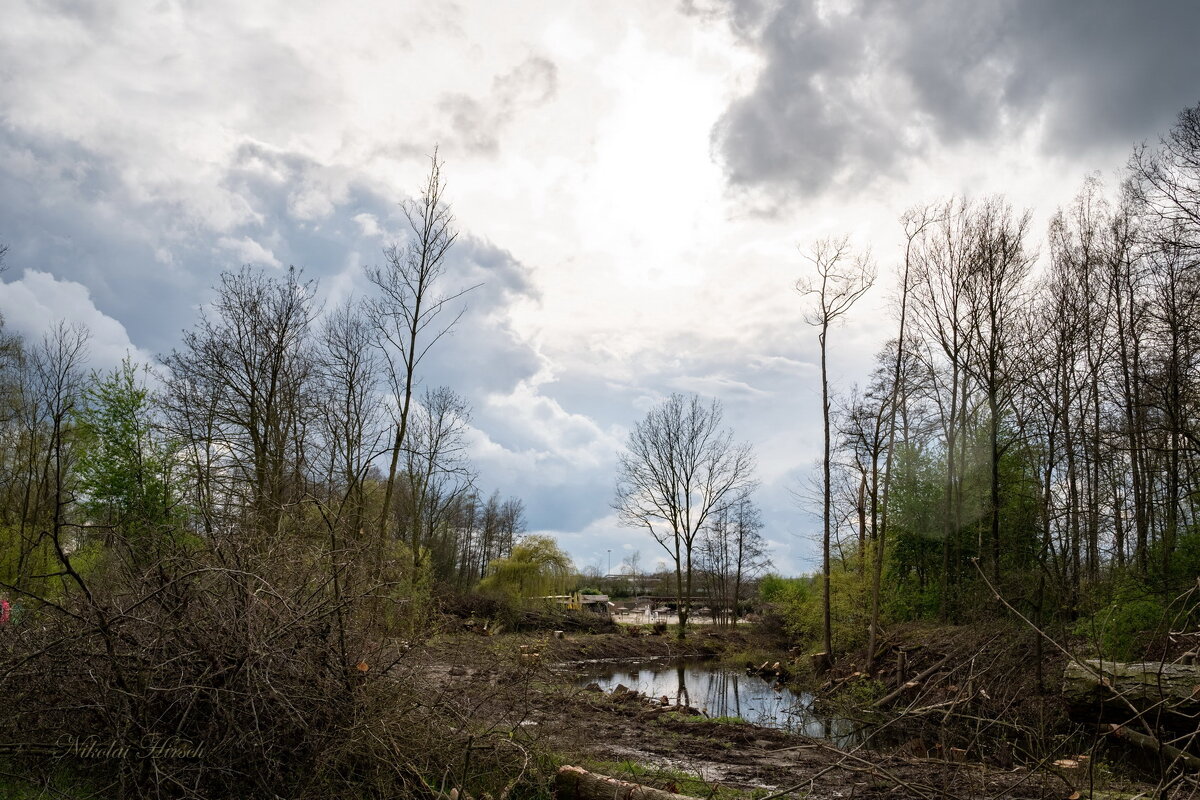 *** - Николай Гирш