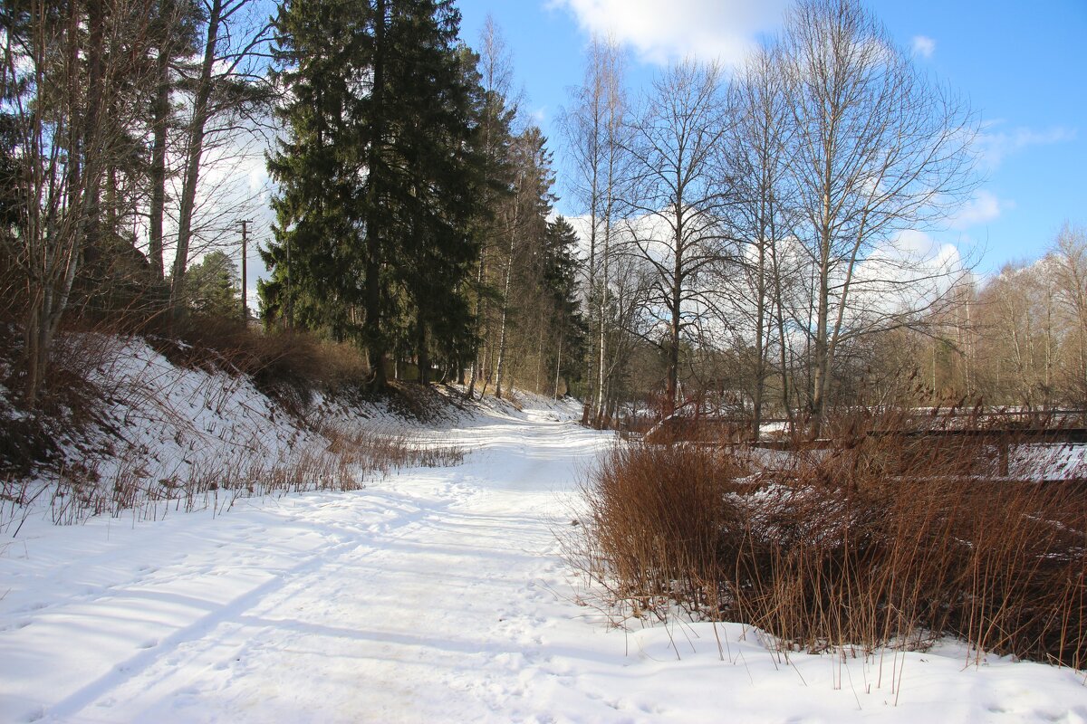 Вырица - Наталья Герасимова