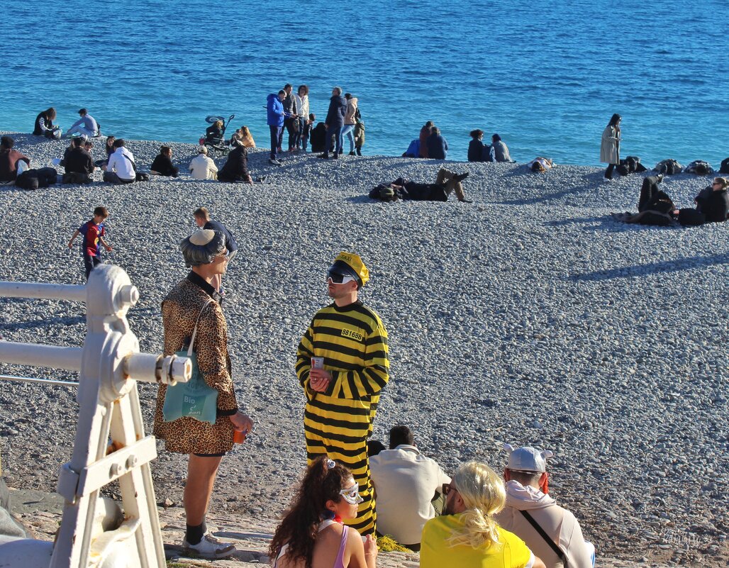 беседа - Светлана Баталий