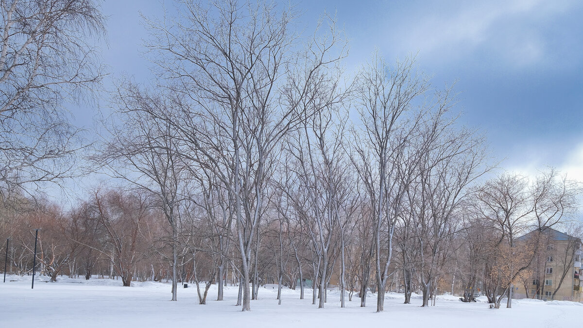 Зимний парк - Dmitry i Mary S