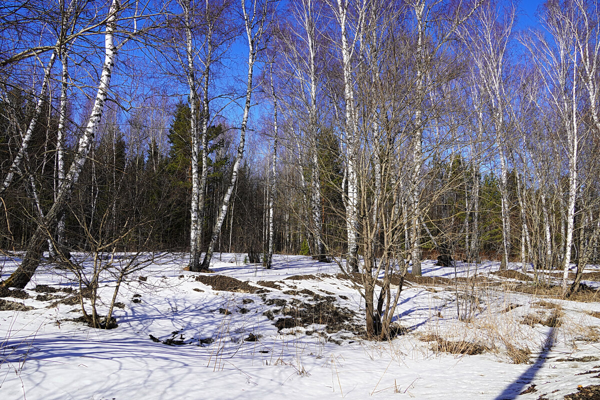 В конце марта - Галина Кан
