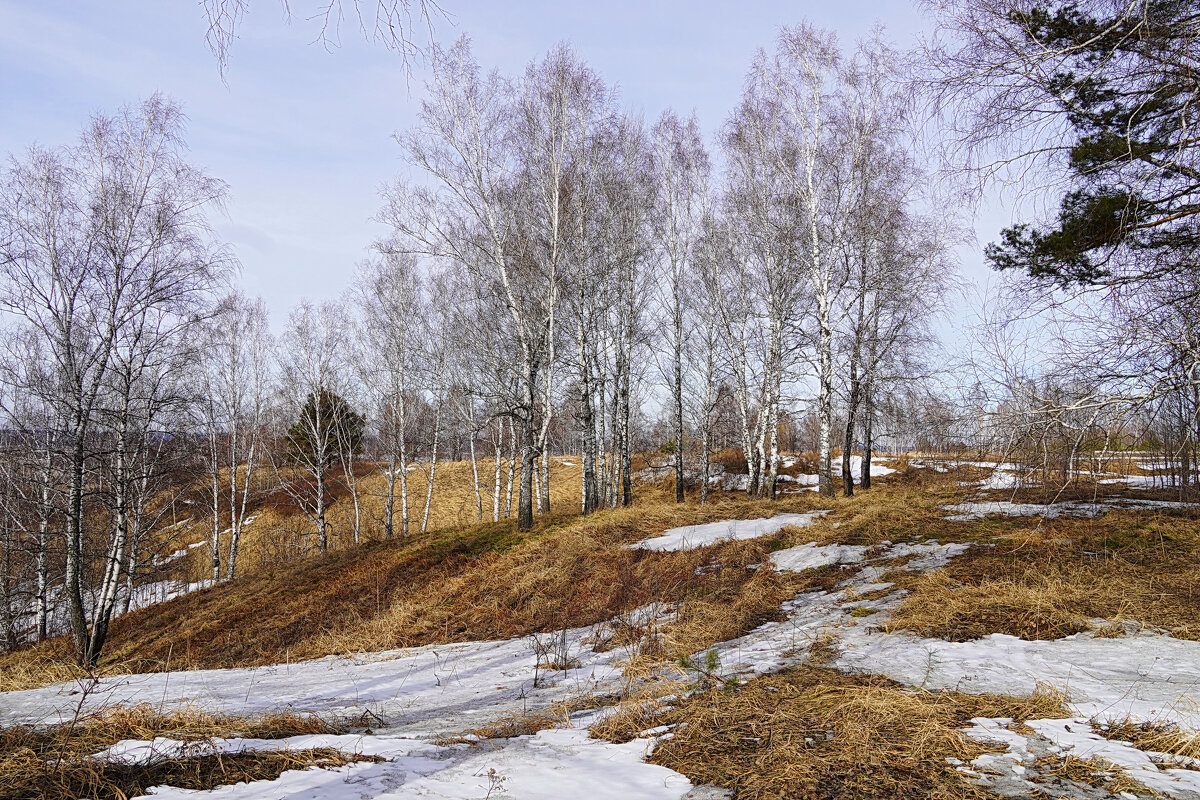 На пригорках весны - Галина Кан На пригорках весны - Галина Кан