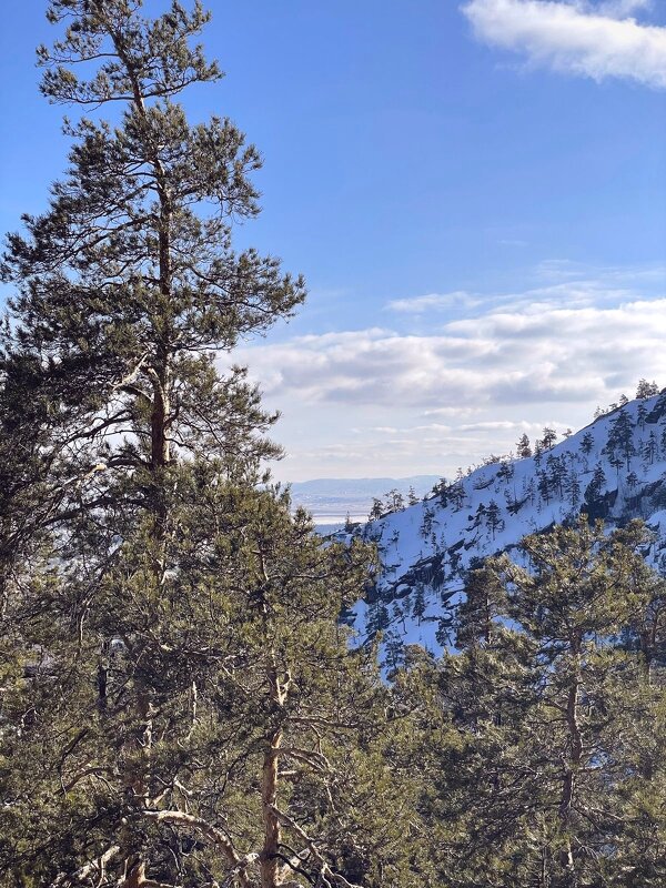 Горная тишина - Георгиевич 