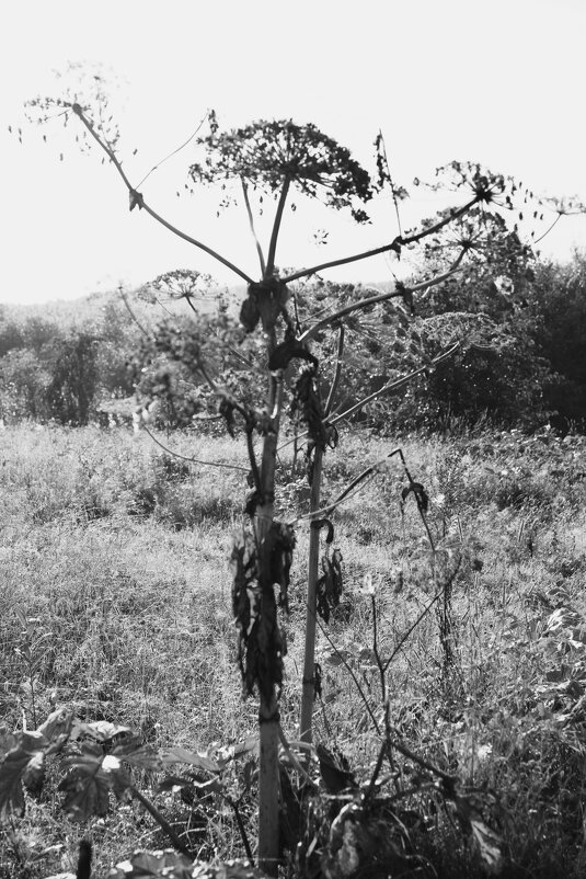 Название отсутствует - Денис Безногов