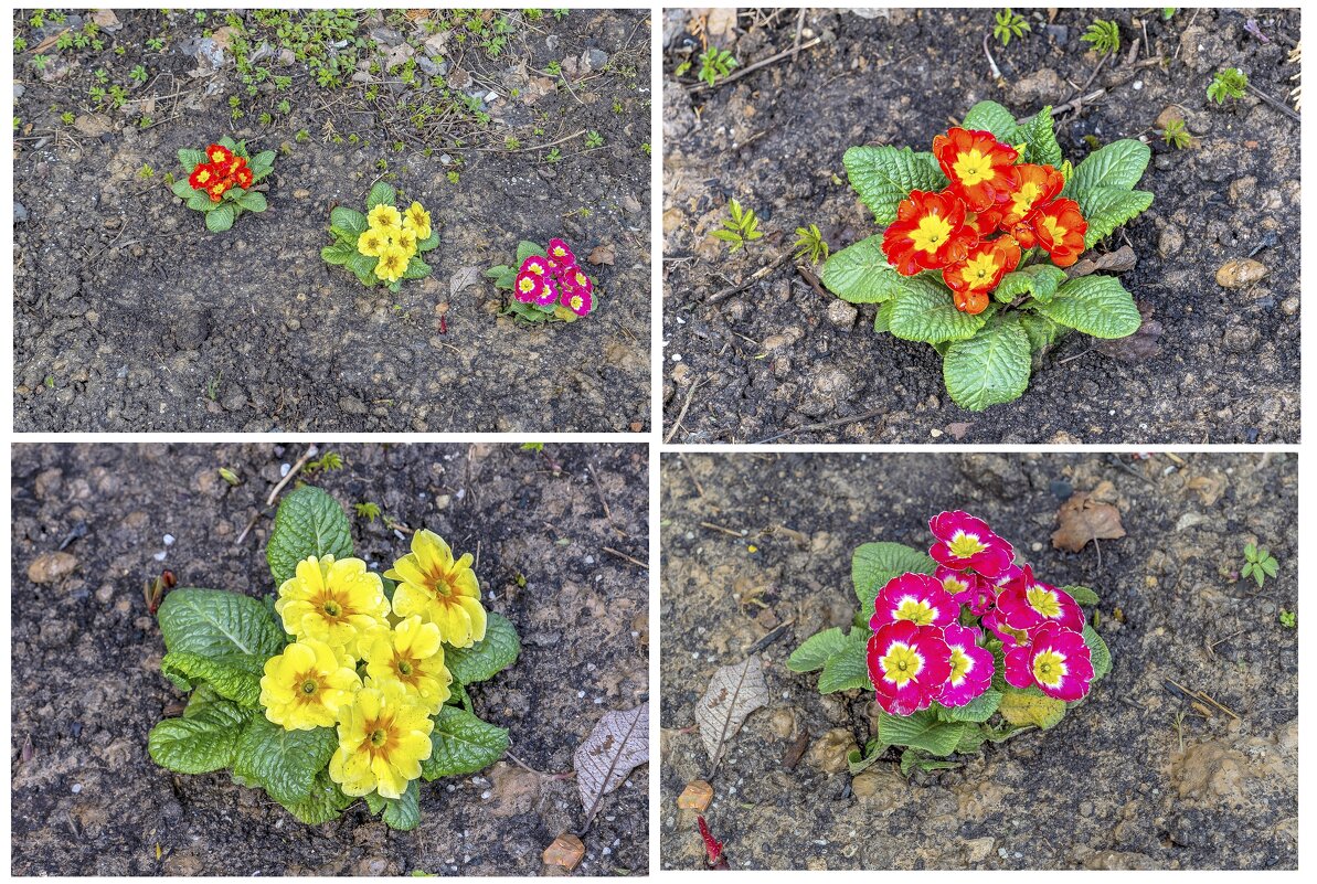 Апрельские - Валерий Иванович Апрельские - Валерий Иванович