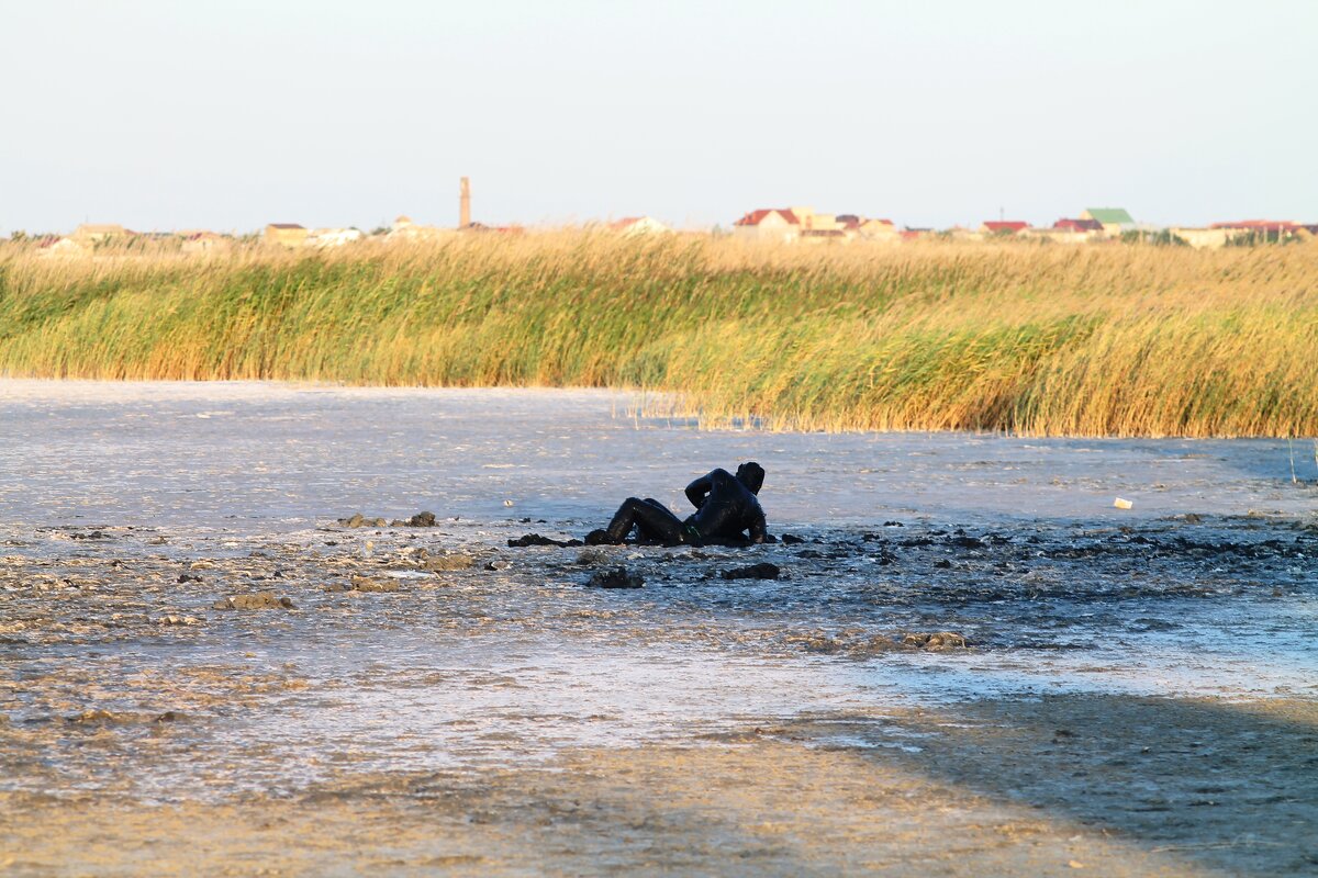 Купание в грязевом болоте - Олег Зоркий