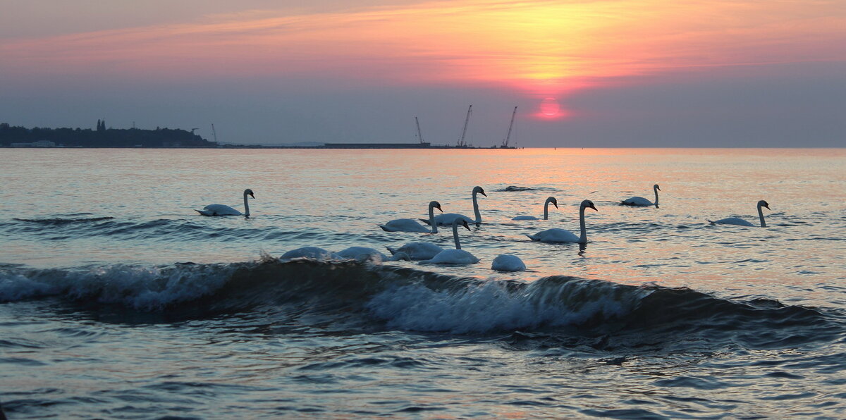 Солнце как китайский фонарик - Августина 