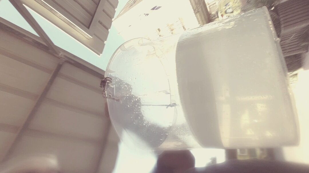 12  КЛОС (897) - CLOSE WAYS ALL