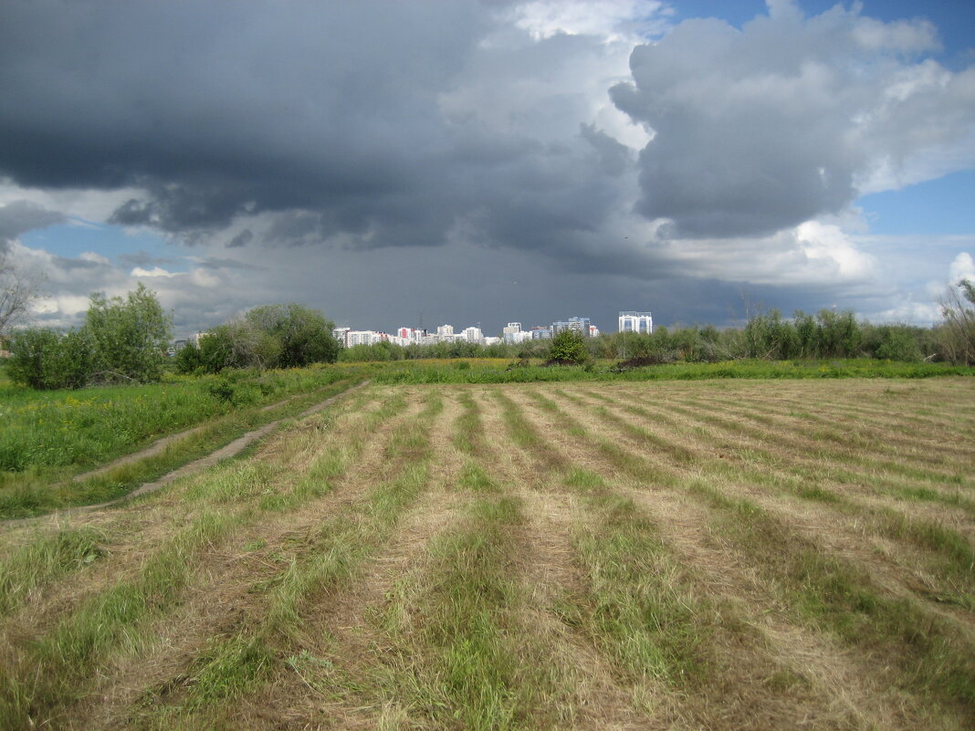 Начало покоса - Anna Ivanova