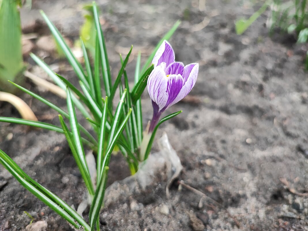,,, - Сергей Тимоновский ,,, - Сергей Тимоновский