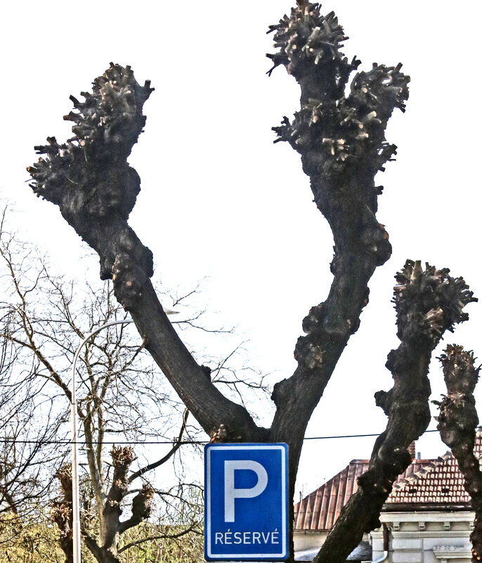 Есть много парковочных мест - Ivan VIKAR Есть много парковочных мест - Ivan VIKAR