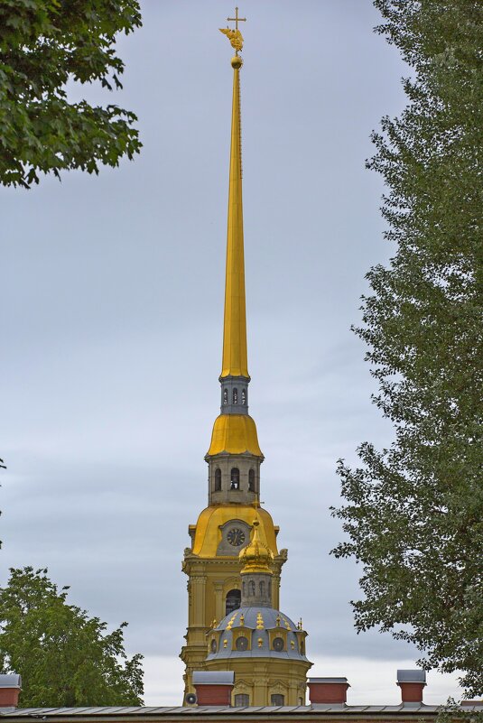 Шпиль Петропавловского собора, Санкт-Петербург - Светлана Тихонина Шпиль Петропавловского собора, Санкт-Петербург - Светлана Тихонина