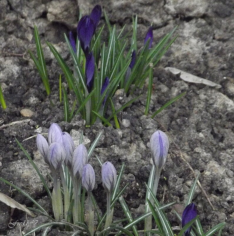 Пробуждение... - Freddy 97