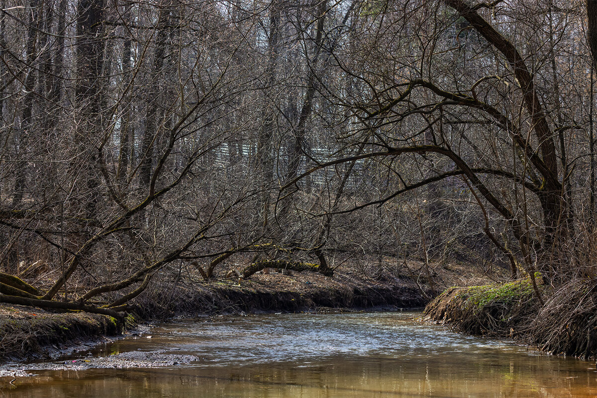 Весна на речке - Michel 