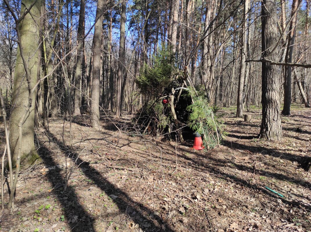 Шалаш в лесу рядом с полем - Игорь Ч.