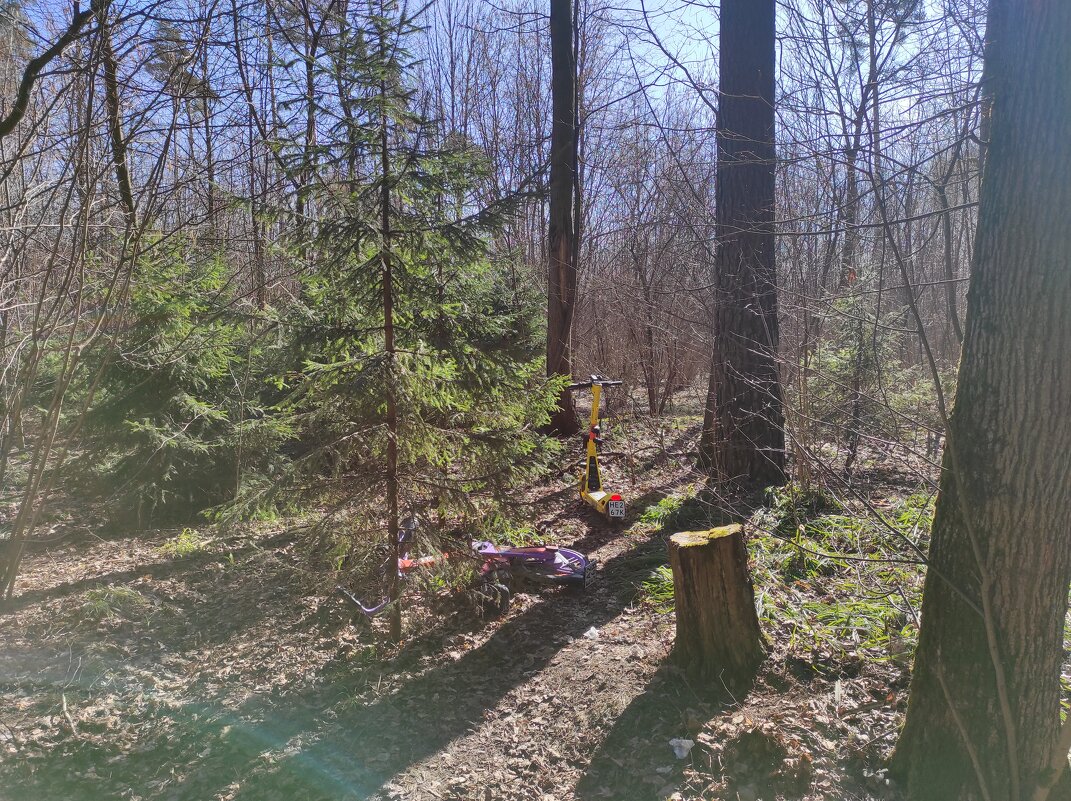 Приехали под ёлочку - Игорь Ч.