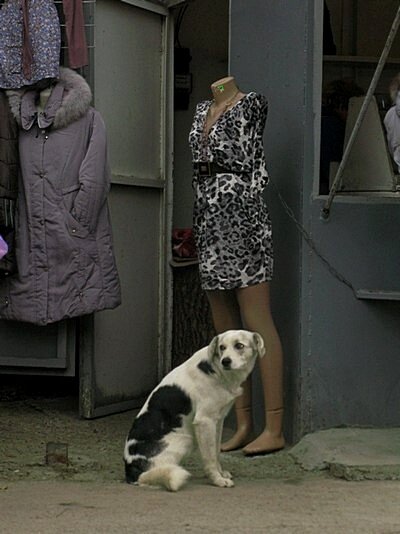 . - Александр Хоменко