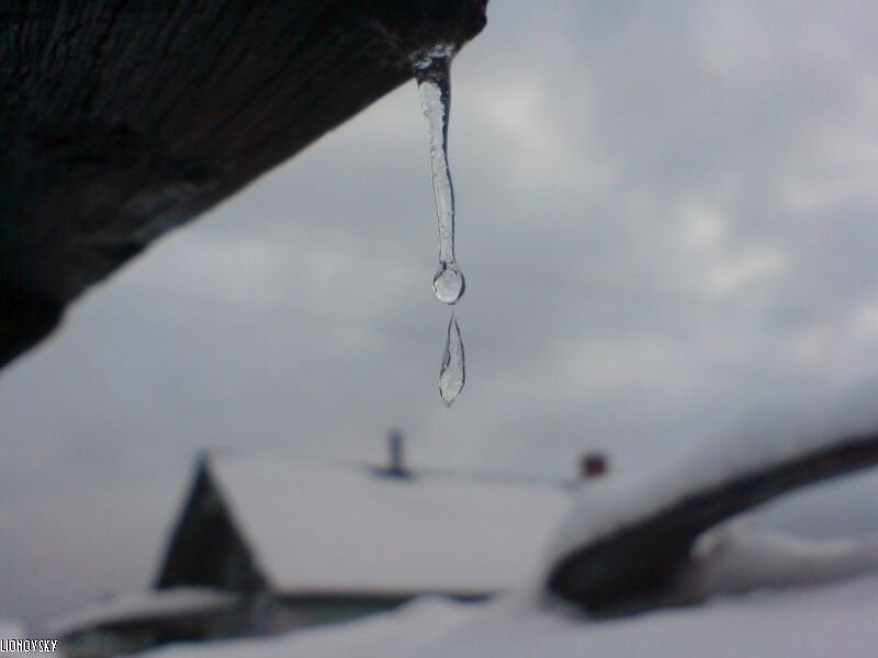 Хрупкость - Not Lion