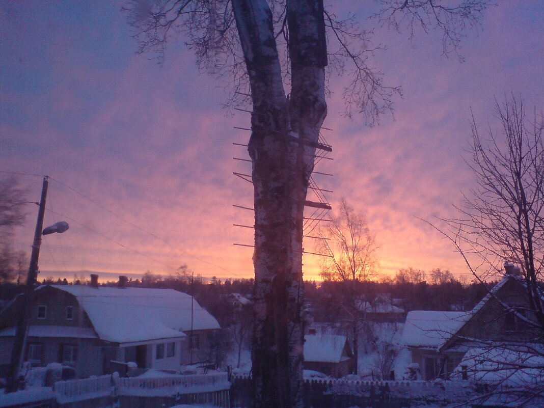 Зимний восход - Not Lion