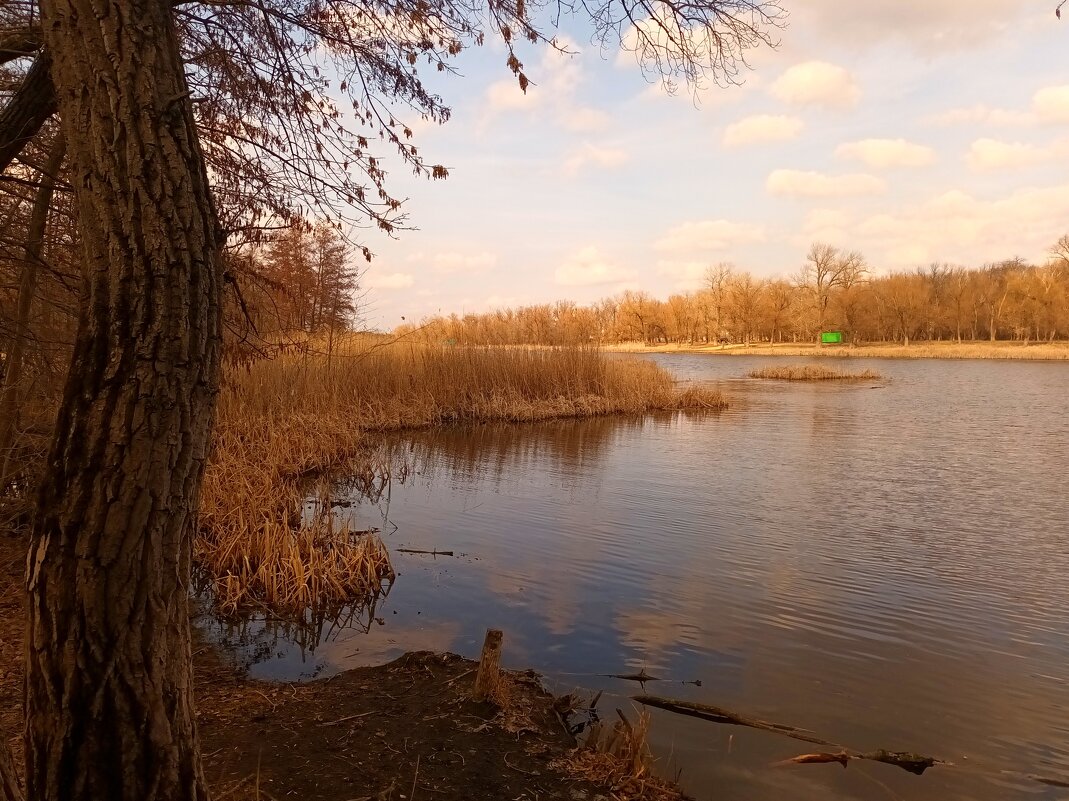 *** - (Владимир С) *** - (Владимир С)