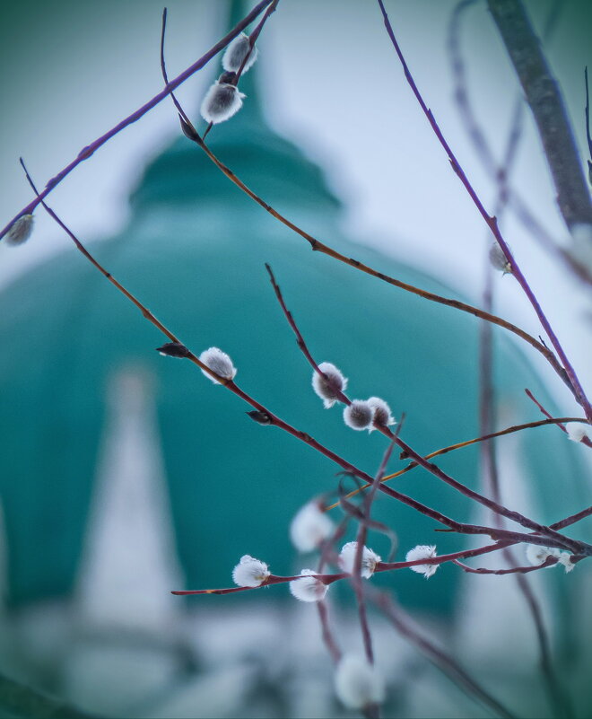 Апрель - Наталья Rosenwasser