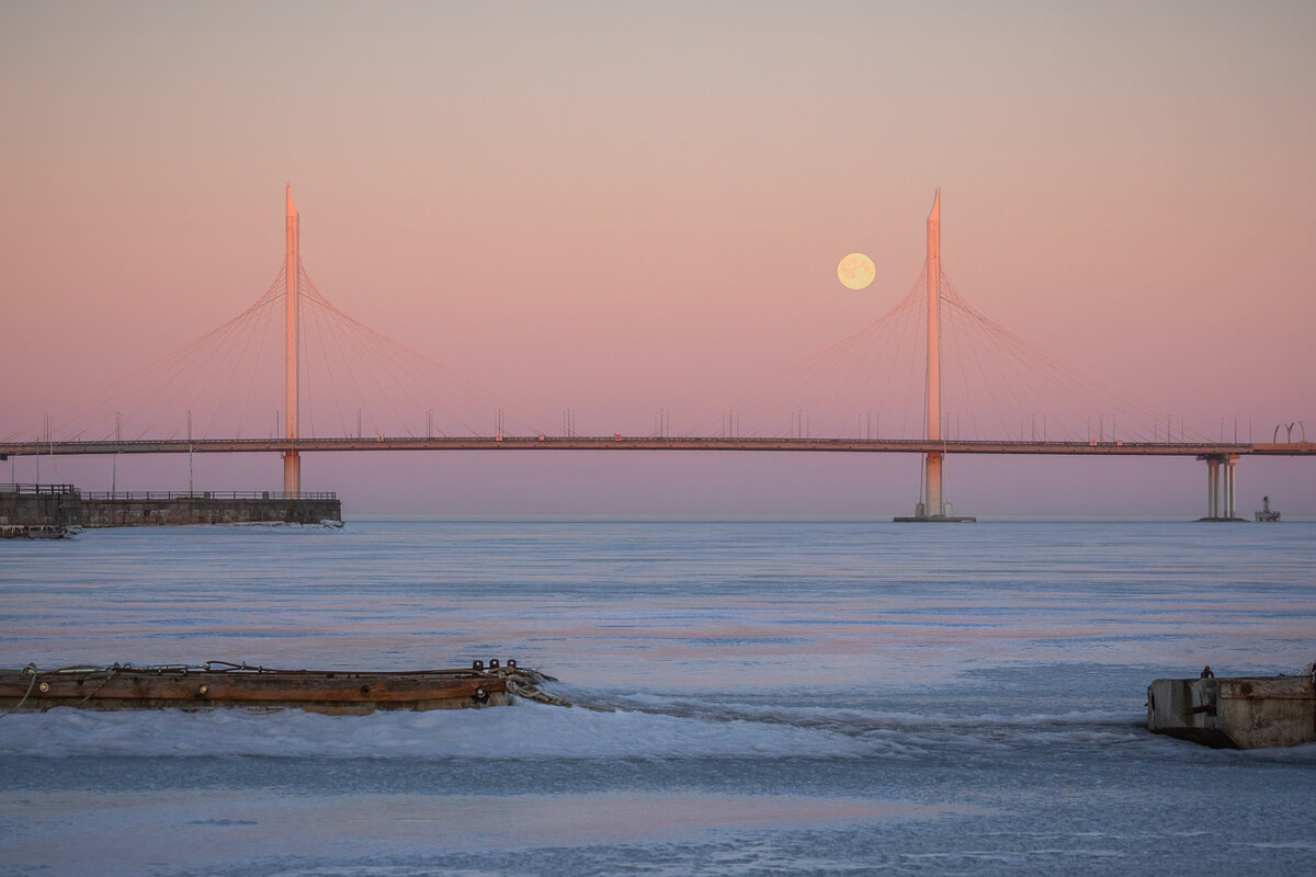 **** - Елизавета .