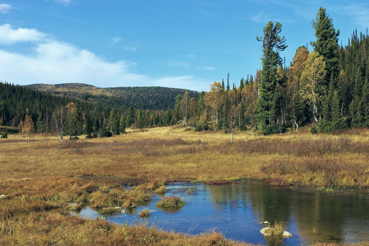 Осенний пейзаж - Сергей Швечков Осенний пейзаж - Сергей Швечков