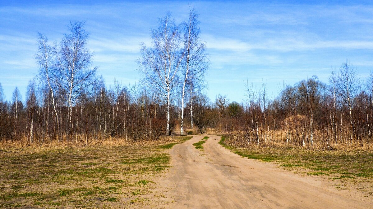 Моя Смоленщина (репортаж из поездок по области). - Милешкин Владимир Алексеевич 