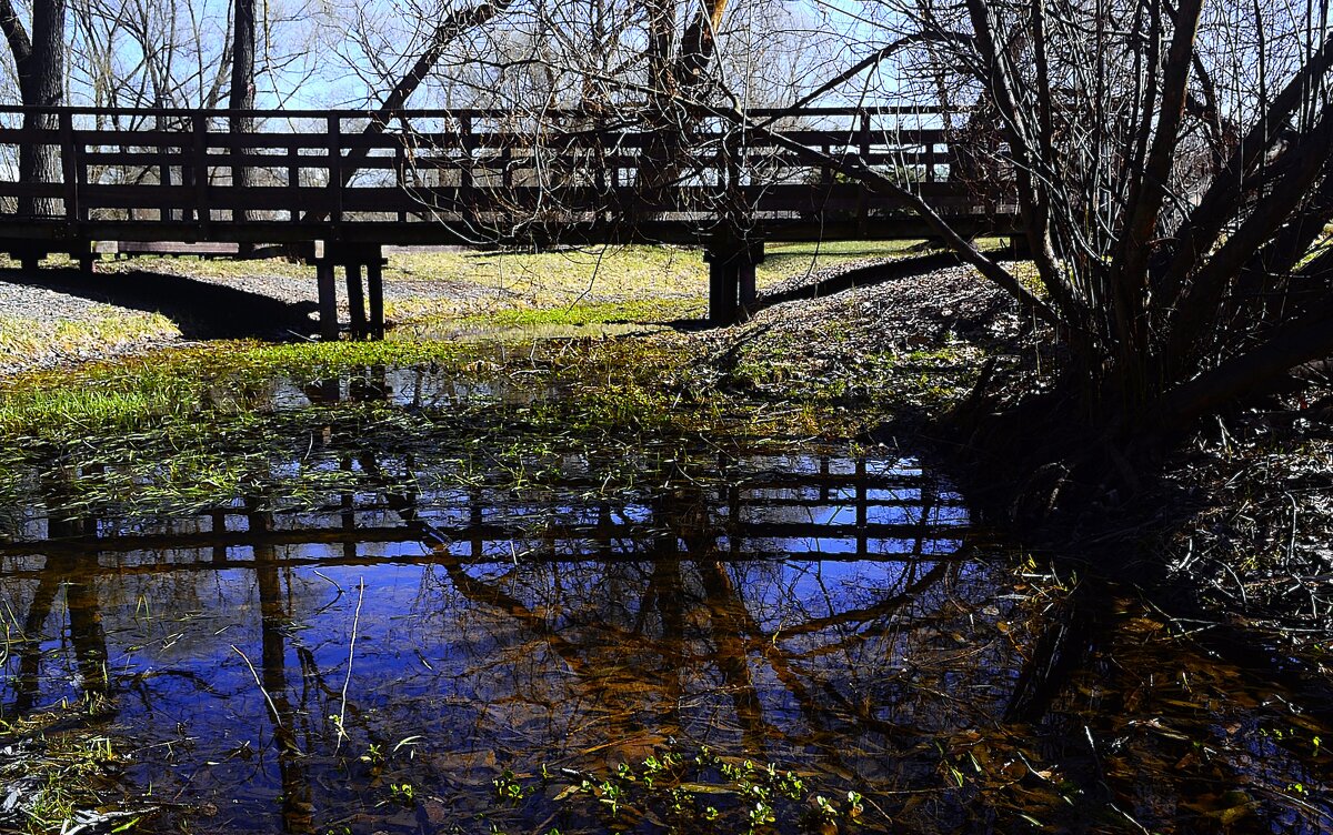 Деревянный мостик. - Василий Палий
