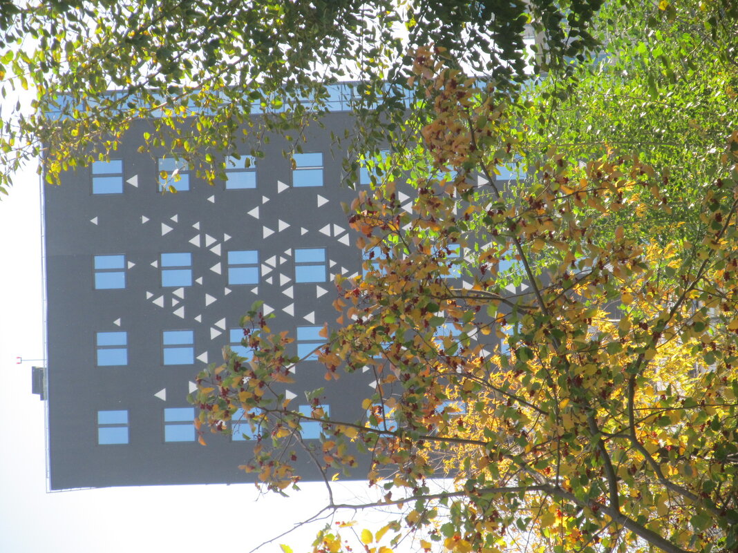 ПРО Екатеринбург - Елена Шаламова